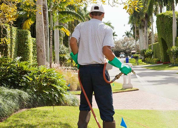 About Memphis MI Pest Control